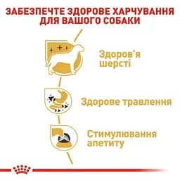 Вологий корм Royal Canin Chihuahua Adult для собак породи Чихуахуа 85 г (2041001) - мініатюра 4