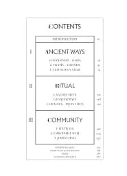 Pagans. The Visual Culture of Pagan Myths, Legends and Rituals - мініатюра 4