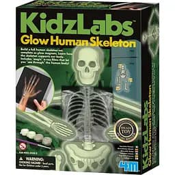 Набор для исследований 4M Скелет человека (00-03375)