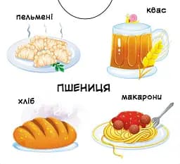 Перша книжка з рухомими елементами. Із чого це зроблено. Дивись, читай, крути, штовхай - - мініатюра 5