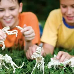 Набір для розкопок 4M KidzLabs Скелет велоцираптора (00-13234) - мініатюра 6