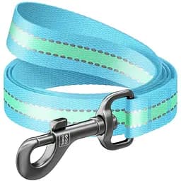 Повідець для собак Waudog Nylon, 122х1,5 см, світловідбиваючий, блакитний