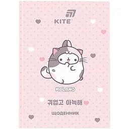 Щоденник шкільний Kite ML (ML26-262)