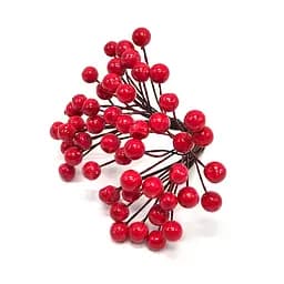 Декоративна Калина лакова для творчості Bambi KL-25, 8 мм, 25 гілочок.