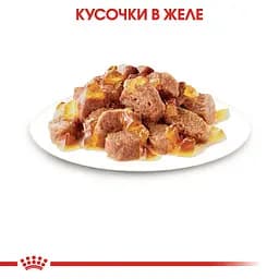Вологий корм для дорослих стерилізованих котів Royal Canin Sterilised in Jelly шматочки в желе 85 г - мініатюра 3