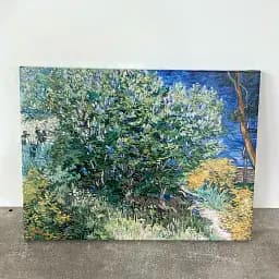 Інтер'єрна картина Кущ бузку, Вінсент ван Гог, Vincent van Gogh, Lilac Bush, інтер'єрний декор, 60×80 см (id6664) - мініатюра 5