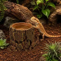 Декорація Hobby Forest Stump 14x12,5x10 см - декоративний пень, поїлка для тераріуму (40848) - мініатюра 3