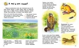 Книга Енциклопедія дошкільника (нова): Україна Ранок С614044У Різнокольоровий shop (9786170999948) - мініатюра 3