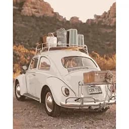 Картина по номерам Незабываемая поездка 40х50 см 10502-AC