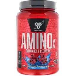 Амінокислота BSN BCAA Amino X 1.01 кг Ожина