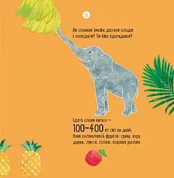 Книга Ранок Про що думає слон? - Наталія Чуб (S914001У) - мініатюра 7