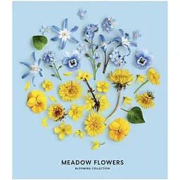 Зошит загальний Школярик Meadow flowers, в лінійку, 36 арк, УФ-лак, 20 шт. (036-3190L) - мініатюра 2
