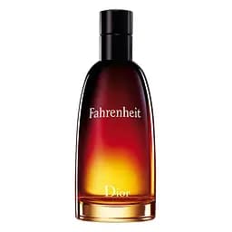 Туалетная вода мужская Dior Fahrenheit, 100 мл