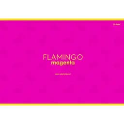Альбом для малювання Школярик Flamingo 30 аркушів фуксія (PB-GB-030-8526)