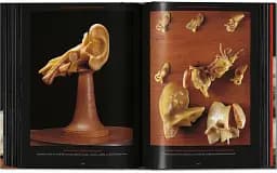 Anatomical Waxes. 45th Edition - мініатюра 23