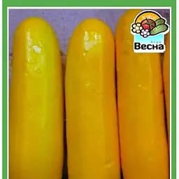 Насіння Весна Кабачок-цукіні Атена F1 2 г (21716)