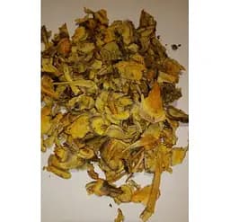 Ревінь Корінь Румбамбар Барбар Rheum officinalis