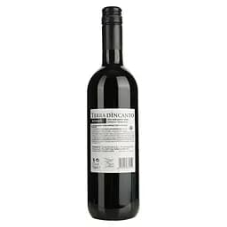 Уцінка. Вино Terra d'Incanto Rosso Semi Sweet червоне напівсолодке 0.75 л  - мініатюра 2