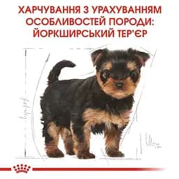 Сухий корм для цуценят породи Йоркширський Тер'єр Royal Canin Yorkshire Terrier Puppy, 7,5 кг (39720751) - мініатюра 2