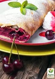 Саджанець Agro-Market Вишня Ерді Бутермо 1 шт. в упаковці (39887) - мініатюра 2