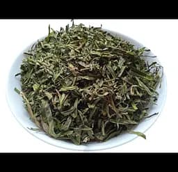 Естрагон Тархун Трава Естрагін Острогін Artemisia dracunculus