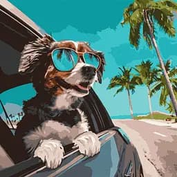 Картина за номерами Ideyka Подорож до океану ©art_selena_ua KHO6510 40х40 см