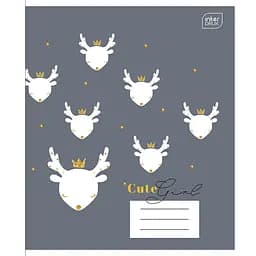 Набор тетрадей Interdruk Premium Mix 2 ученических клетчатых А5+ 12 листов 4 шт. (339409-4)