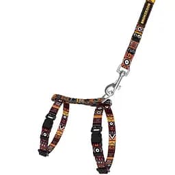 Шлея для котів та собак дрібних порід BronzeDog Urban Етнічна з нашивкою та повідцем XS 18-27 см помаранчева