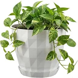 Вазон для квітів Serinova Crystal з підставкою 1.15 л бежевий (20-KRT201204-200100) - мініатюра 2
