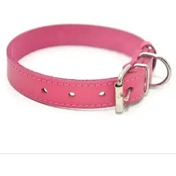 Нашийник для собак Zoo-hunt Весна шкіряний рожевий 1,4/23-28 см