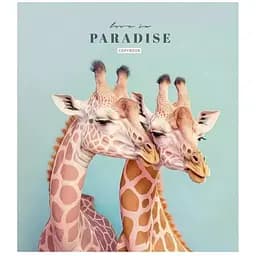 Тетрадь общая Love in paradise Школярик 036-3256L-4 в линию 36 листов