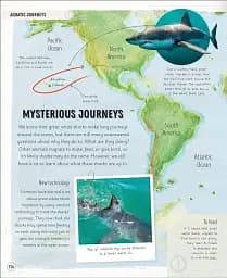 Amazing Animal Journeys - мініатюра 4