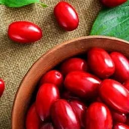 Саджанець Agro-Market Кизил Володимирський (середній термін дозрівання, великоплідний сорт) 1 шт. в пакуванні (35874)