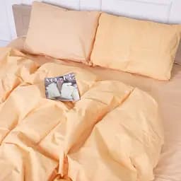 Підковдра MirSon 17- 4780 Argentei бязь 200х220 см (2200008966522)