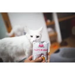 Вологий корм для котів Brit Care Cat pouch 85g (філе лосося в соусі) - мініатюра 4
