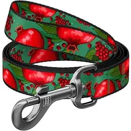 Повідець для собак Waudog Nylon нейлоновий, малюнок "Гранати", M