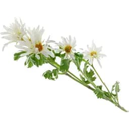 Декоративная ветка хризантемы Elen Dekor 85 см белая (820-035)