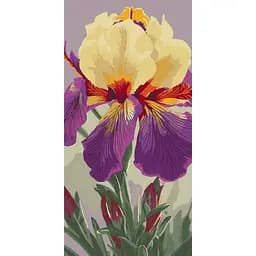 Картина за номерами "Ірис Карнівал Каперс" Art Craft 13095-AC 40х80 см