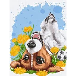 Картина по номерам Ideyka Весеннее солнышко ©Анна Кулик KHO4492 30х40 см