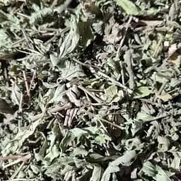 100 г вербена лікарська трава сушена - свіжий урожай