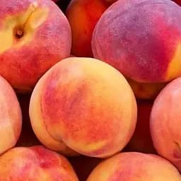 Саджанець Agro-Market Персик Фрост (літній сорт, середній термін дозрівання) (39955) 1 шт. в упаковці