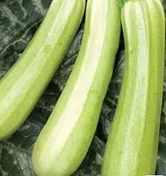 Семена Весна на развес Кабачок Итальянский лебедь цена за 8 г (183861)