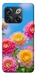 Чохол Demsky Summer day для OnePlus 10T