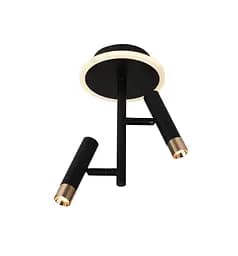 Потолочный светодиодный светильник G 2917/2 16W Черный+Золото