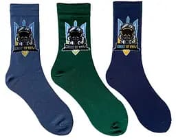 Набір шкарпеток чоловічих Ghost of Kyiv, з індійської бавовни, 3 пари 113032