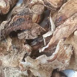 100 г дягиль лекарственный/дудник/ангелика корень сушеный- свежий урожай