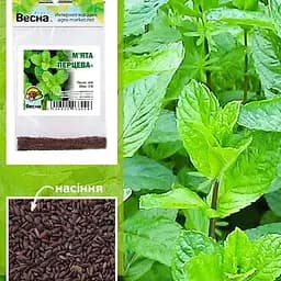 М'ята "Перцева" (Зипер) ТМ "Весна" 0.5г (19190)