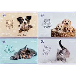 Набір зошитів для малювання Kite Rachael Hale 12 аркушів скоба софт тач + УФ лак 20 шт. (R25-241)