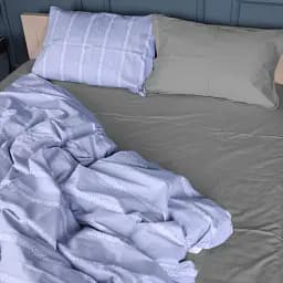 Простыня MirSon Сатин 22-1378 Silver Vine 220x240 см (2200010476279)