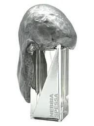 Парфуми Filippo Sorcinelli Nebbia Spessa Extrait de Parfum 50 мл 